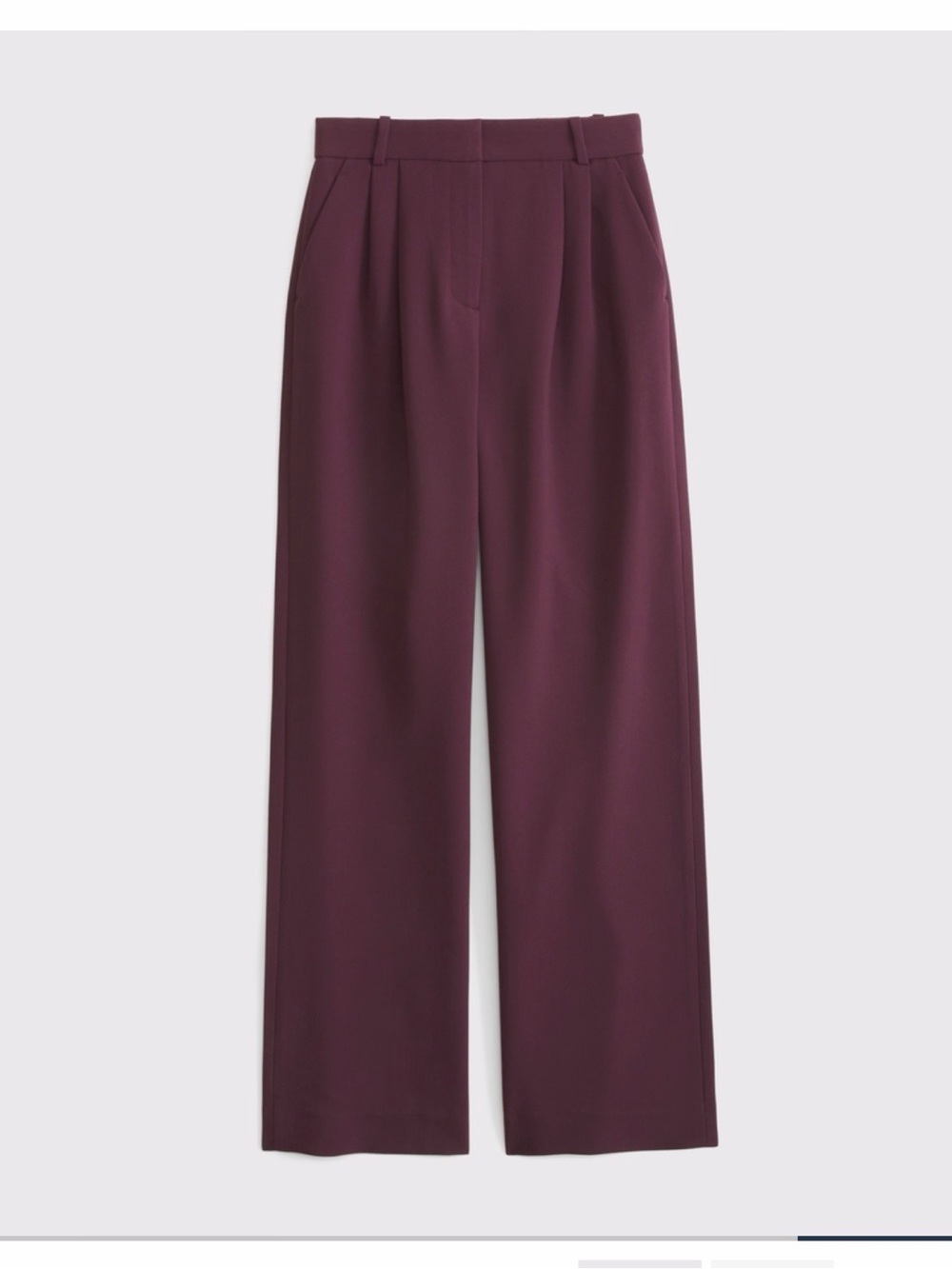 Abercrombie Sloan Wide-Leg Pleated Trousers in Plum